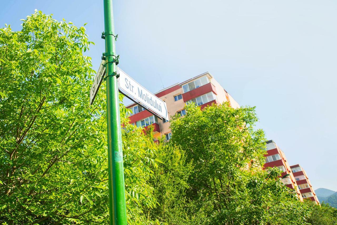 Luna Apartment ブラショフ エクステリア 写真