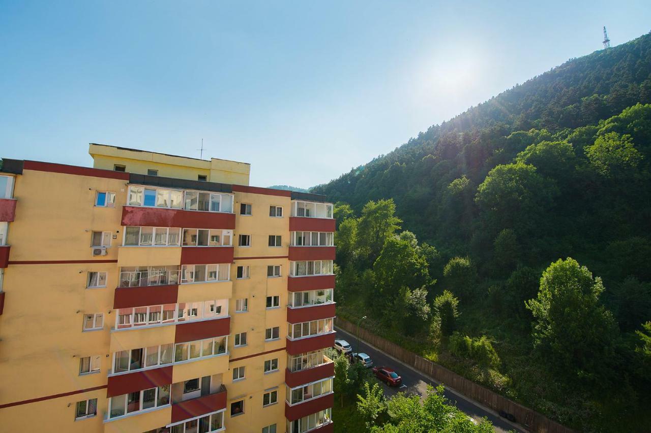 Luna Apartment ブラショフ エクステリア 写真